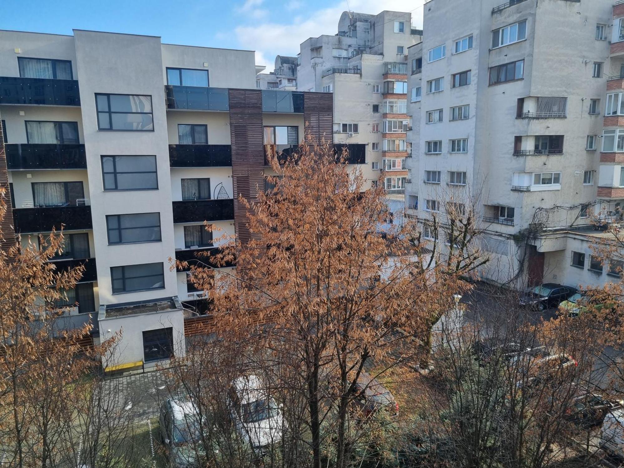 Nice & Relaxing Central Apartment Baia Mare Exterior foto