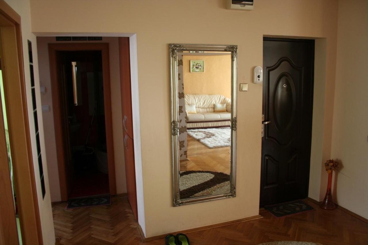 Nice & Relaxing Central Apartment Baia Mare Exterior foto